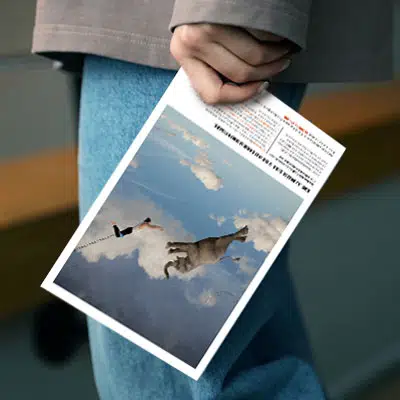 Aruba Aruba fournisseur - 2 simples pages presses