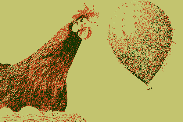 Motion-design-freelance-1 Motion Design - Je conçois des vidéos animées en haute définition, adaptées à tous les supports - Douglas Freelance