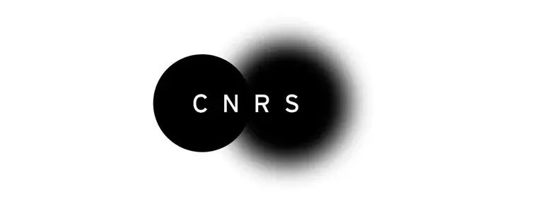 Logo CNRS de Grapus