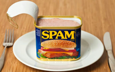D’OU VIENT LE MOT SPAM ?